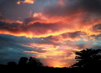 Obituary of Le Nhu Nguyen