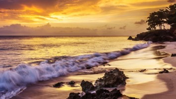 Obituary of Angel Ortega Menchaca