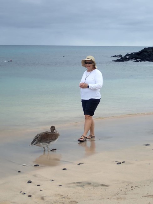 Obituary of Claire P. Donaghy