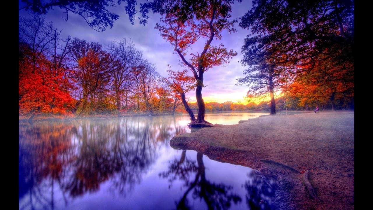 Santos Guzmán Rivera Obituary - Bayamon, PR