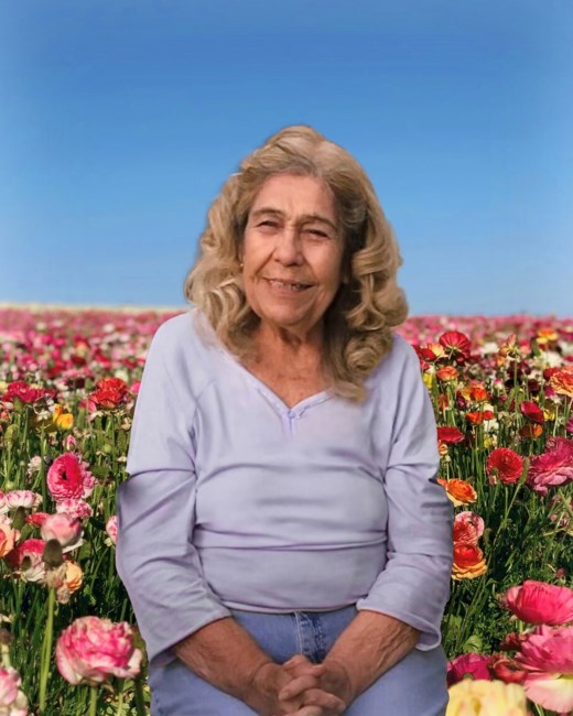 Obituary of Ms. Maria De Jesus Barrios