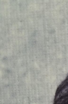 Mrs Virginia Earl Rhea Obituary - Houston, TX