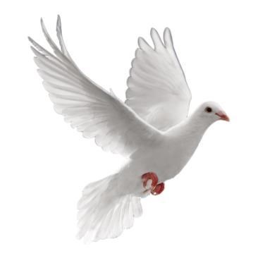 Obituary of Ralanda Ersula Arnold