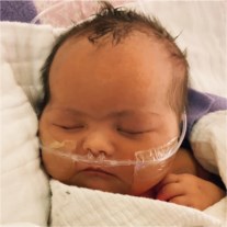 Obituary of Beatrix Joy Warren