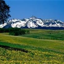 Obituary of John Eugene Drogos