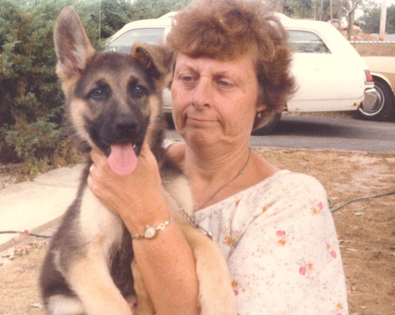 Obituary of Alva R. King