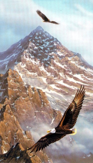 Obituary of James W. Ericsson