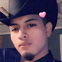 Obituary of Thomas Eduardo Lamas