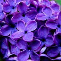 Obituary of Trena Janet Bonge