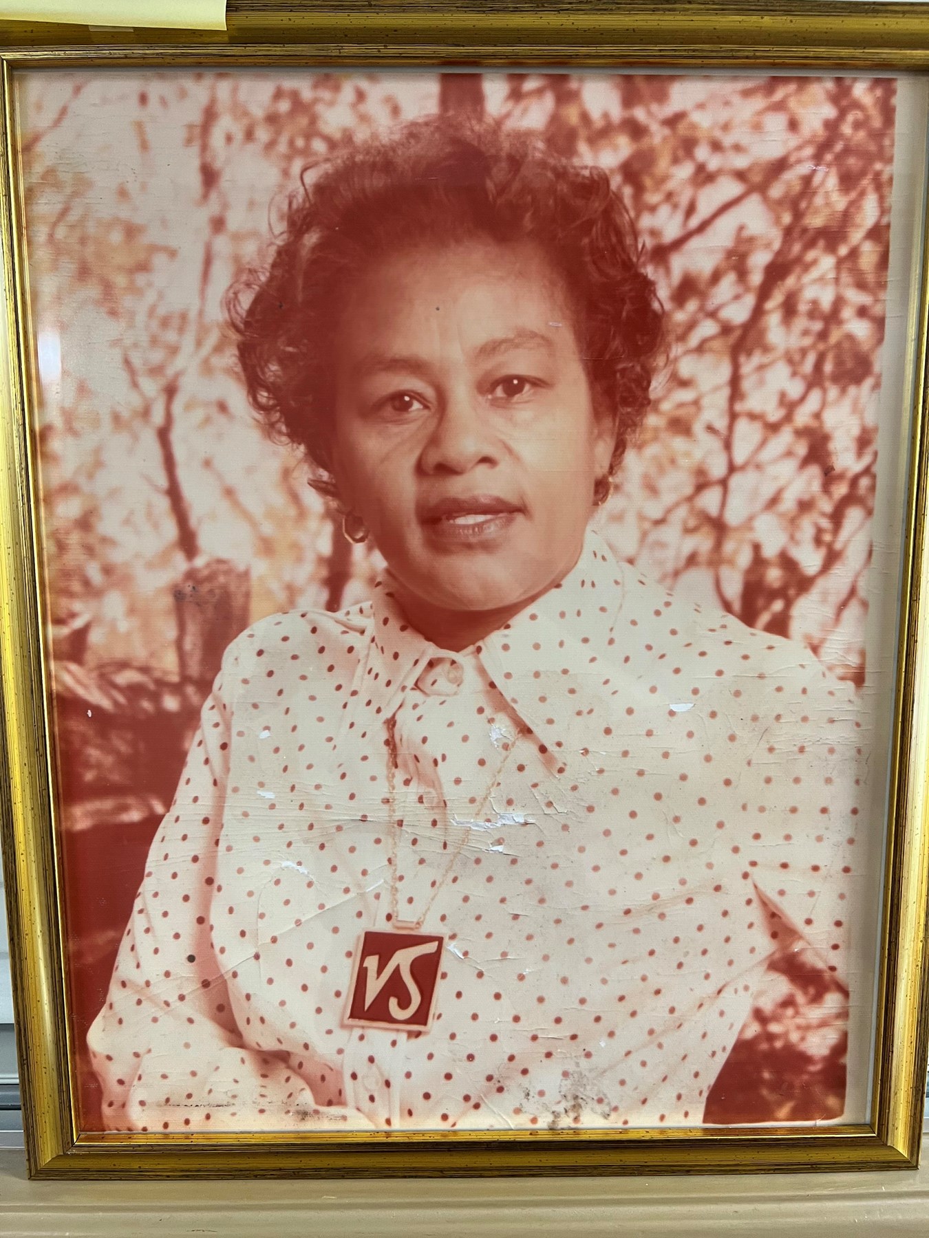 Obituario de Mrs. Bertha Lee (Tyes) Wilkins