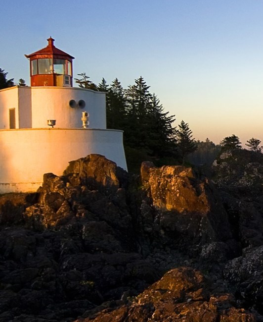 Obituary of William P. Malachowski