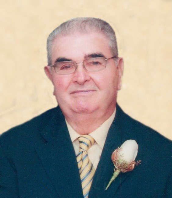 Obituary of Bartolomeo Amati