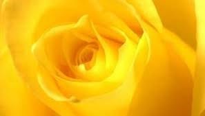 Obituary of Virginia Glover Osborne