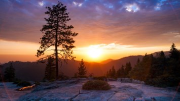 Obituary of Bill Ernest Furman