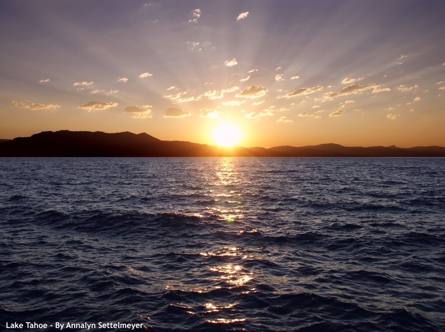 Obituary of Hideo Watari