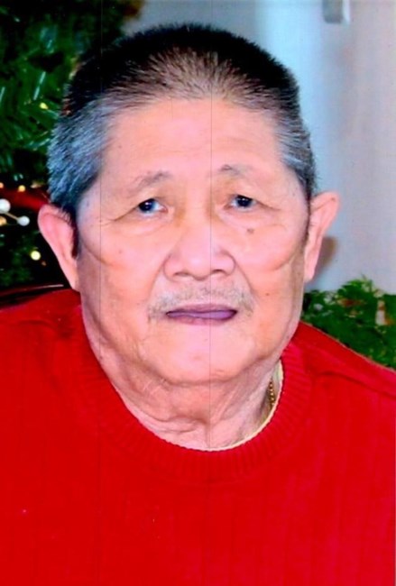 Obituary of Ngan Kim Vo