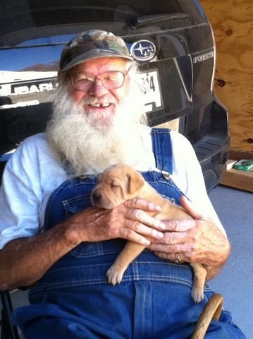 Obituary of William R Novak