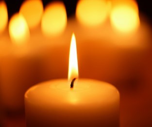 Obituary of Stephen John Nigro