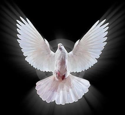 Obituary of Ms. Billie R. Warren