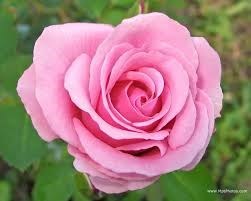 Obituario de Marion Klymyshyn