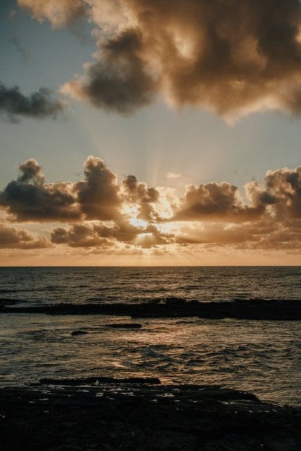 Obituary of John Neal Cummings