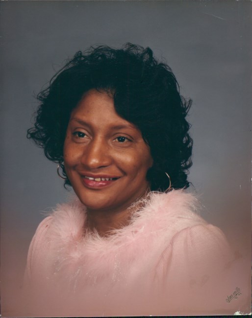 Obituary of Mrs.  Mary Aline Adkins