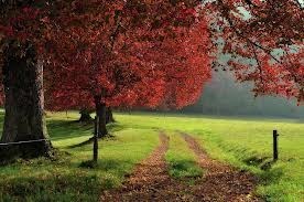 Obituary of James Nagy