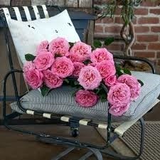 Avis de décès de Rosa Elida Andrade