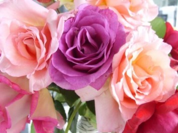 Obituary of Gloria Clarice Graham