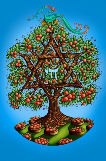 Obituary of Ava Carol Friedman