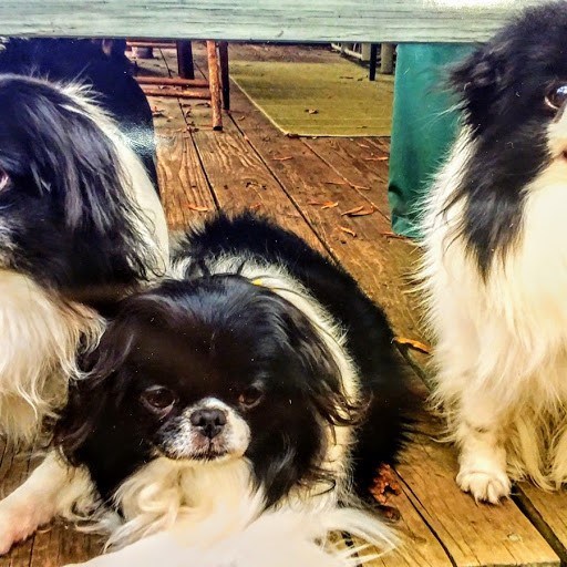 Obituary of Robert John Tomaszewski