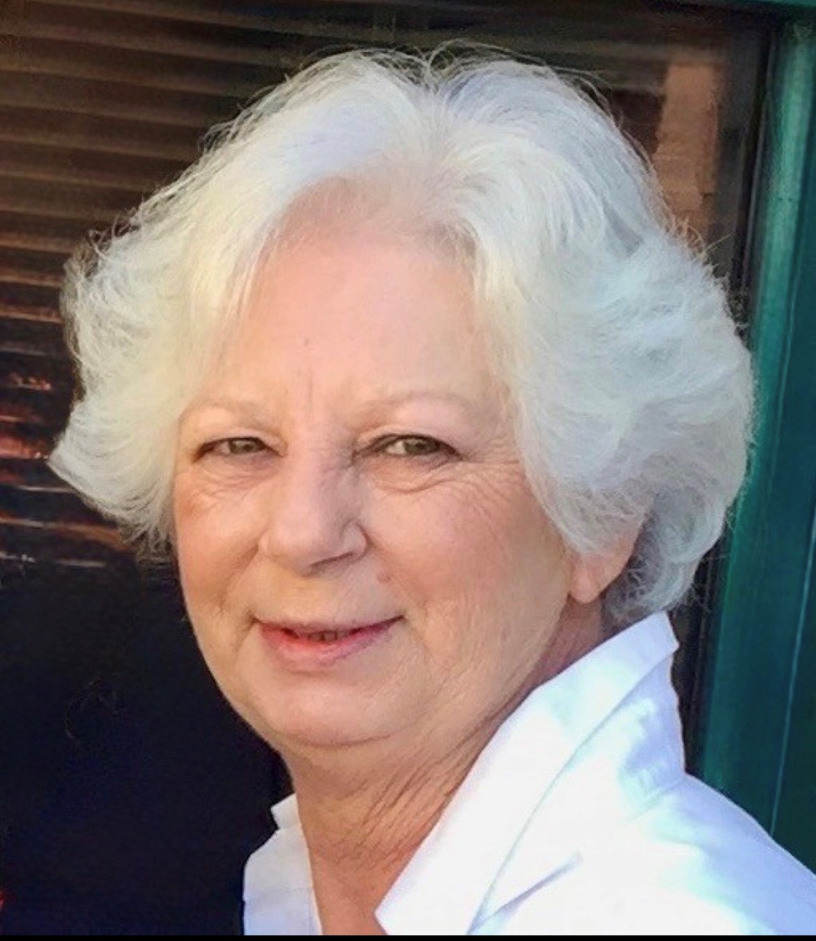 Obituary of Shari Jean Collins