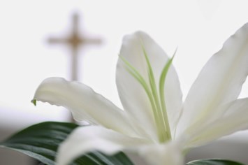 Obituary of Suzanne Butler Funchess