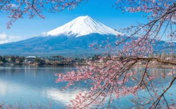 Obituary of Ines C Sanchez