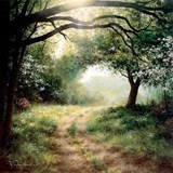 Obituary of Dallas Franklin Nunn