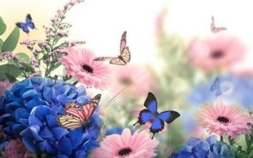Obituary of Marilyn Jo Searcy