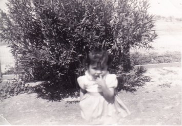 Obituary of Dolores Gonzales Lopez