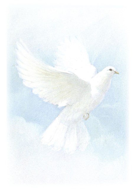 Obituary of Muoi Giang Wong