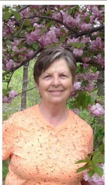 Obituary of Shirley Ann Elmore
