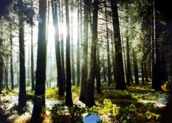 Obituario de Charles Ray McAuley