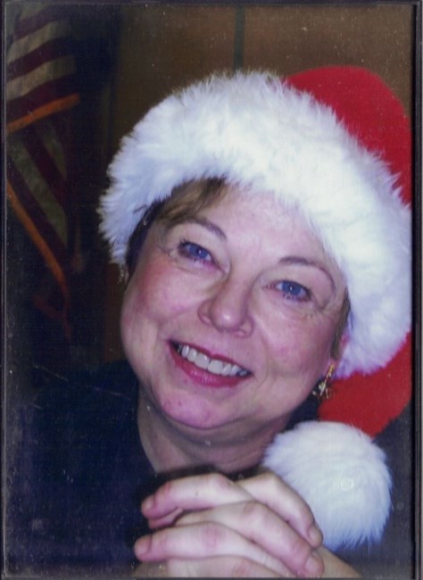 Obituary of Sue Collyer-Potter