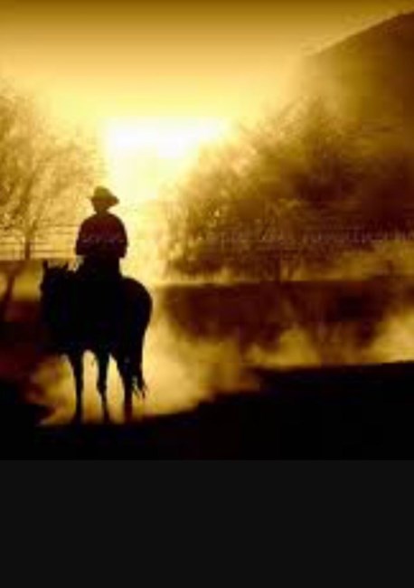 Obituary of Robert James Lane