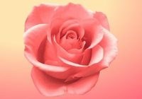 Obituary of Maxine Ella Butler