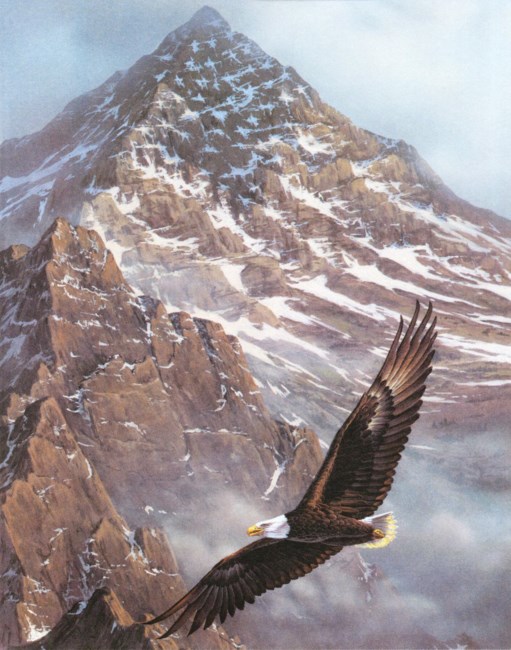 Obituary of Norville T. Conner