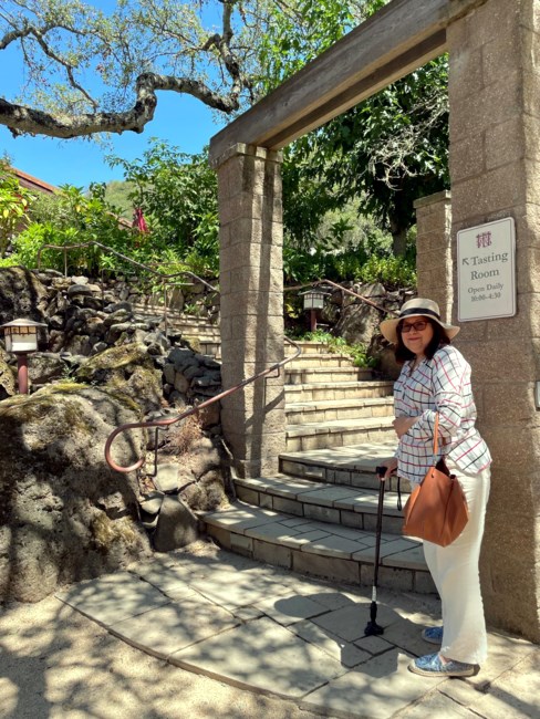 Obituary of Sonia Mercedes Nieves Pérez