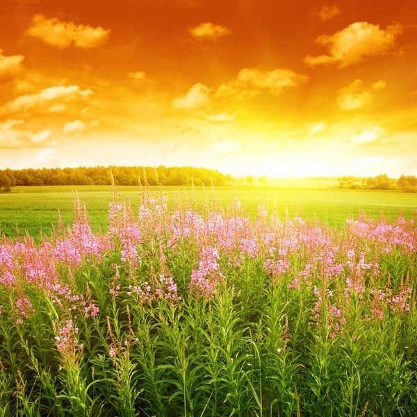 Obituary of Billie Joan Marks