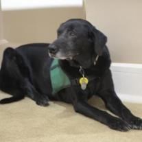 Obituary of Tara Knauf