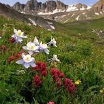 Obituary of Kristina Anne Herron