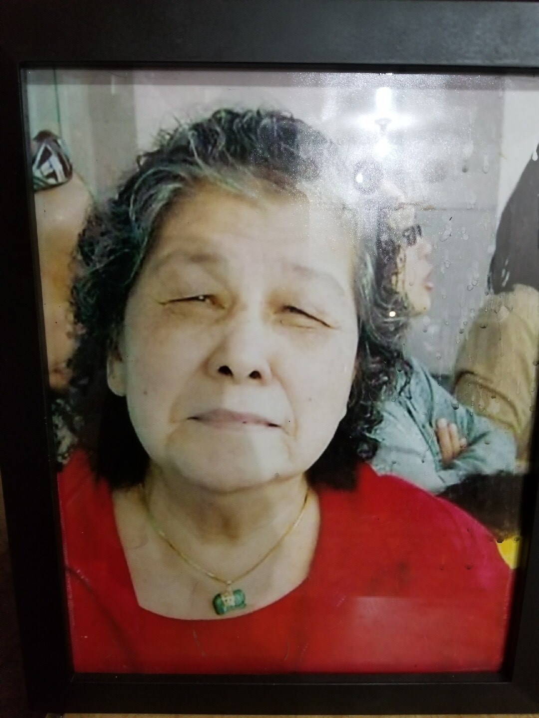 Obituary of Amelia Francisco Andrade