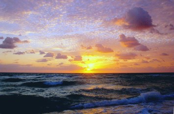 Obituary of Joyce Naiden Cockrum